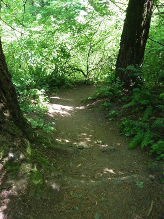 Typical and infrequent section of smoother trail connecting to Council Crest
